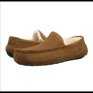 Brand new Ascott  men’s Ugg Chestnut slippers